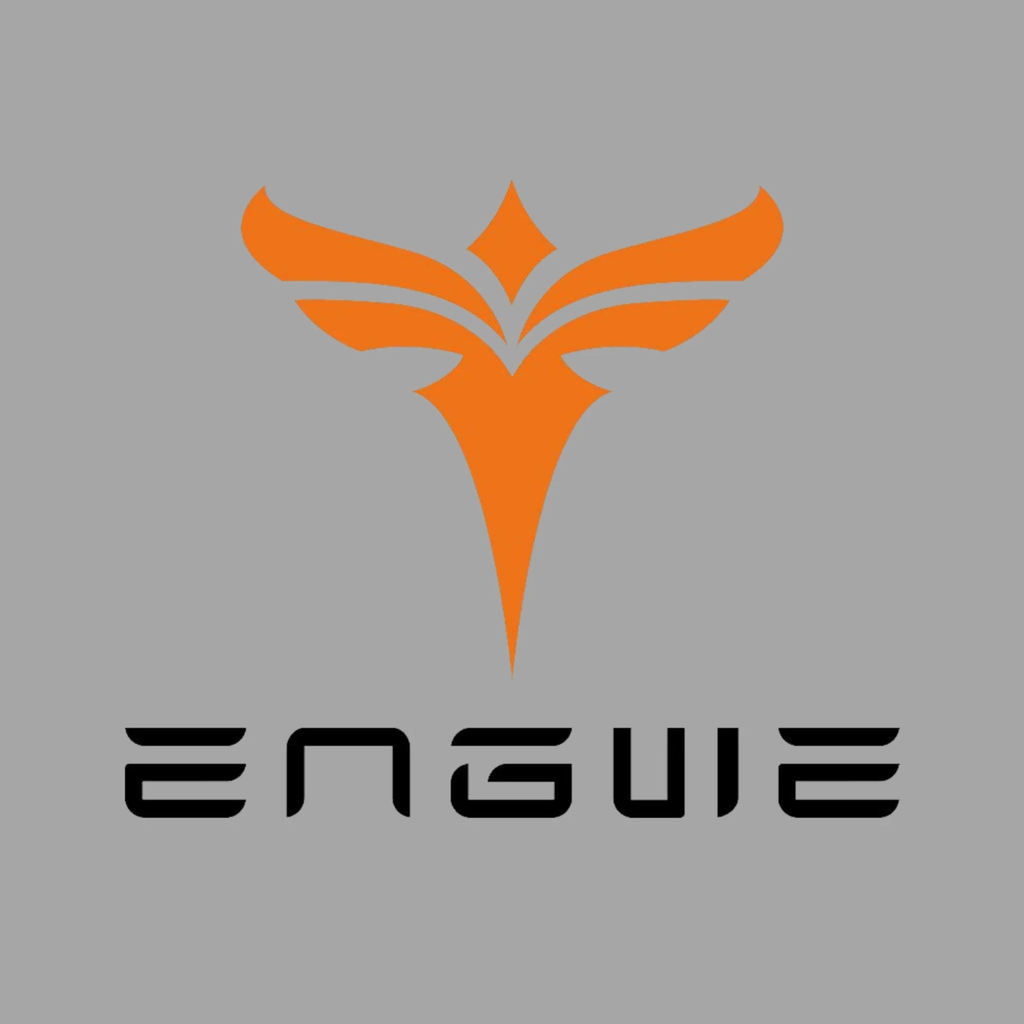 Engwe