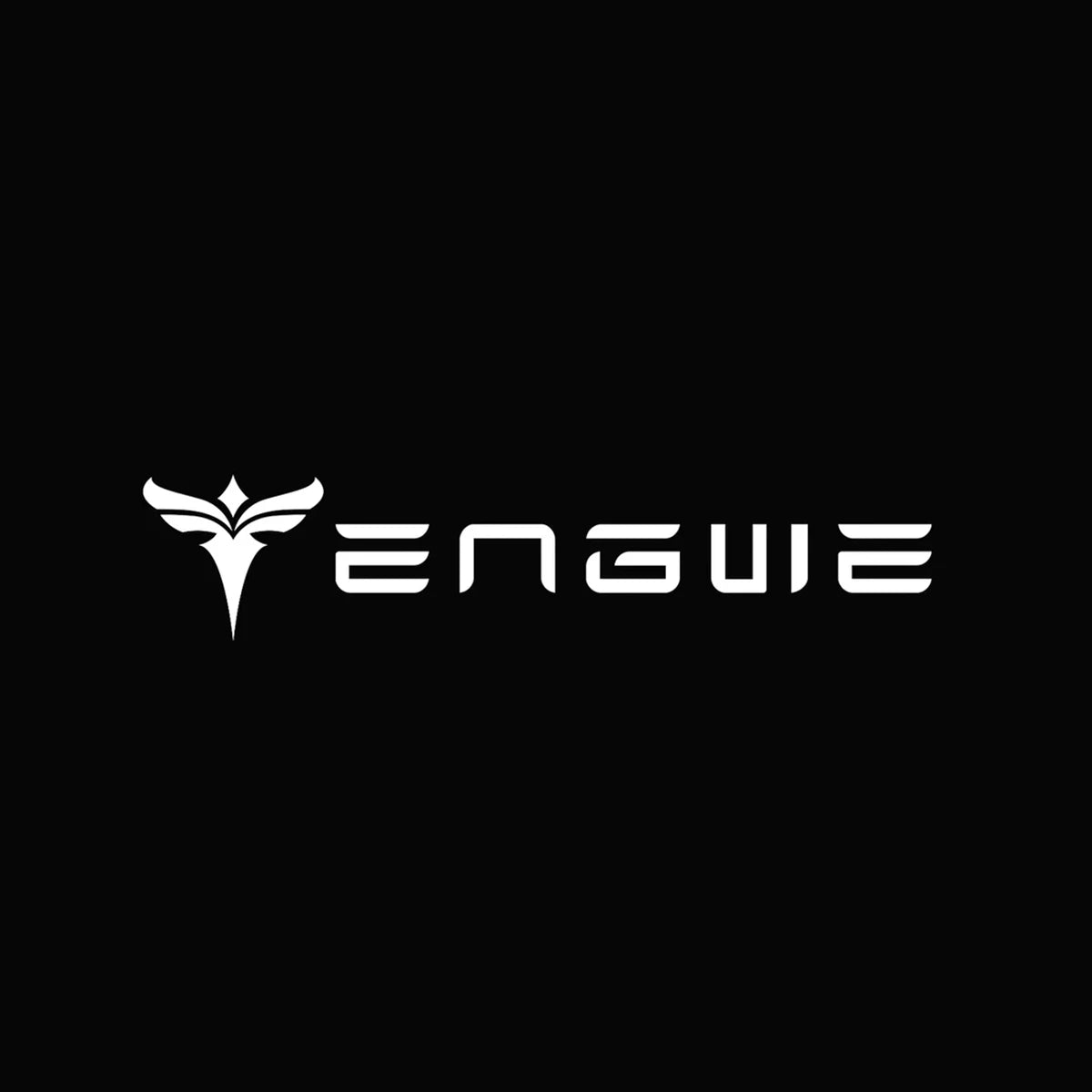 Engwe